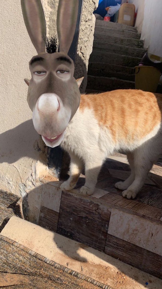 𝓝𝓲𝓱𝓪𝓭..🖤 tweet media