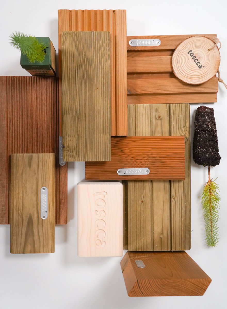 Master D Portugal tweet media