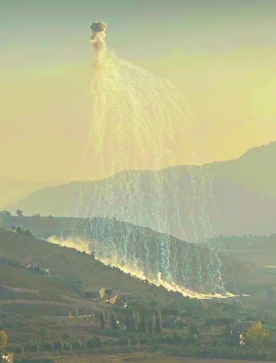 Israel has dropped over 117 white phosphorus bombs on 36 villages in South Lebanon since October 7th, deliberately targeting and burning our forests, farmlands and olive trees, and poisoning our soil, animals and water. Zero peep from the “international community”, of course.