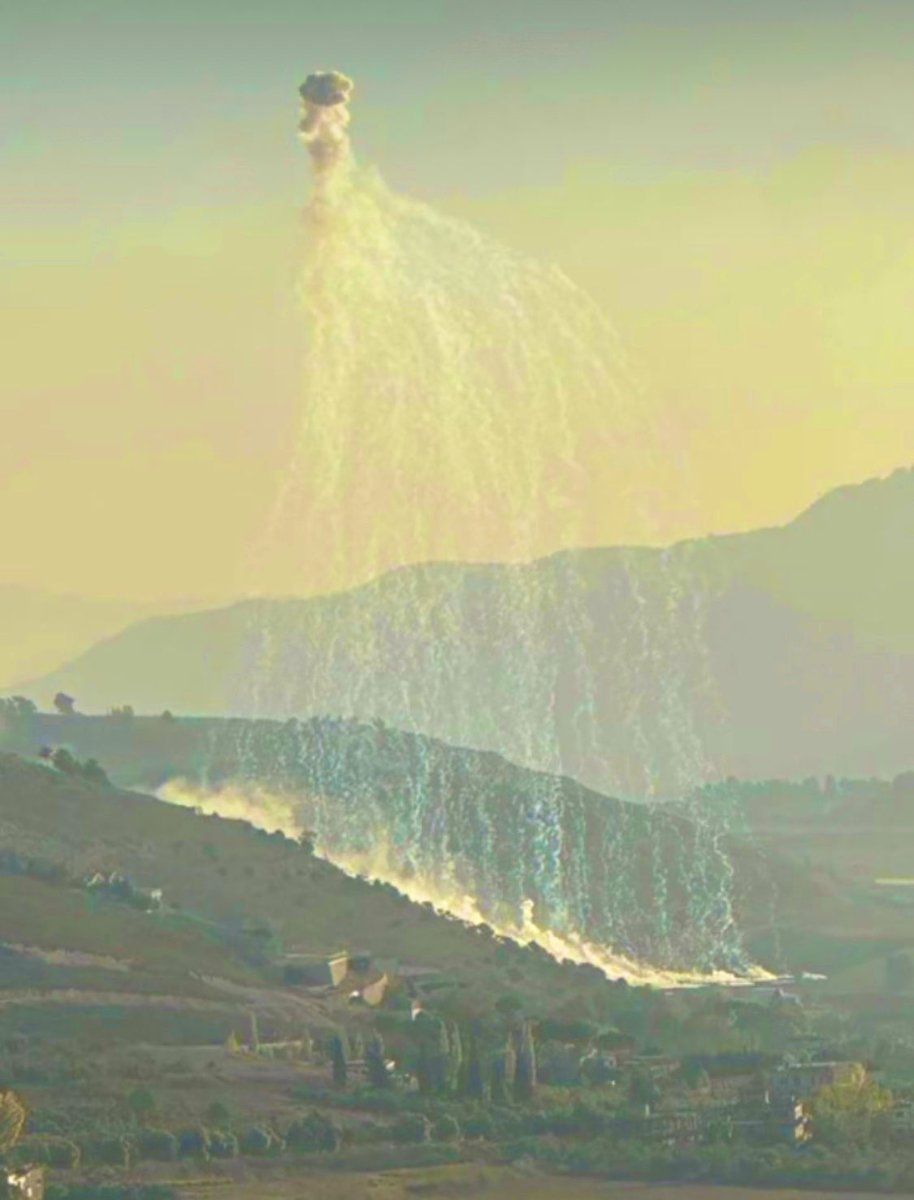 Israel has dropped over 117 white phosphorus bombs on 36 villages in South Lebanon since October 7th, deliberately targeting and burning our forests, farmlands and olive trees, and poisoning our soil, animals and water.

Zero peep from the “international community”, of course.