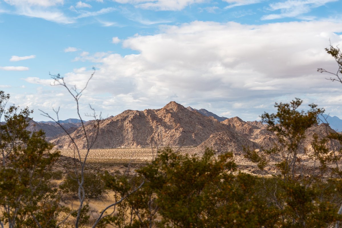 Looking to escape the crowds during our busy spring break season? 🌅 Arrive early! The trails are typically quiet from sunrise to 9 am. 😎 Seek the road or trail less traveled. 🚗💨 For the fastest entry/exit, try our north entrance in 29 Palms.