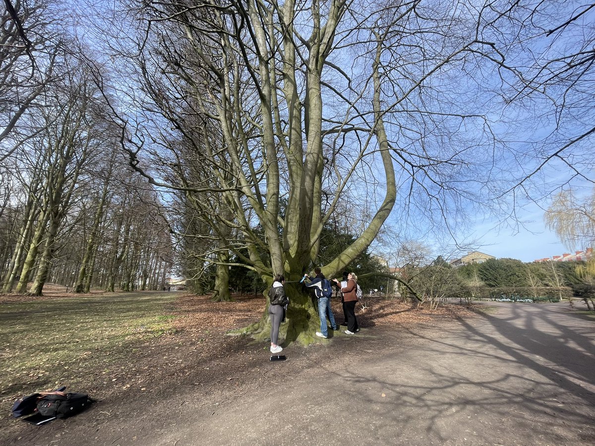 palaeo_mich's tweet image. Day 5: it’s our finally day in Malmö! Today we’ve assessed the relationship between physical geography and environmental sustainability in an urban park! The sun shone for the @NewGeographyUCC students☀️