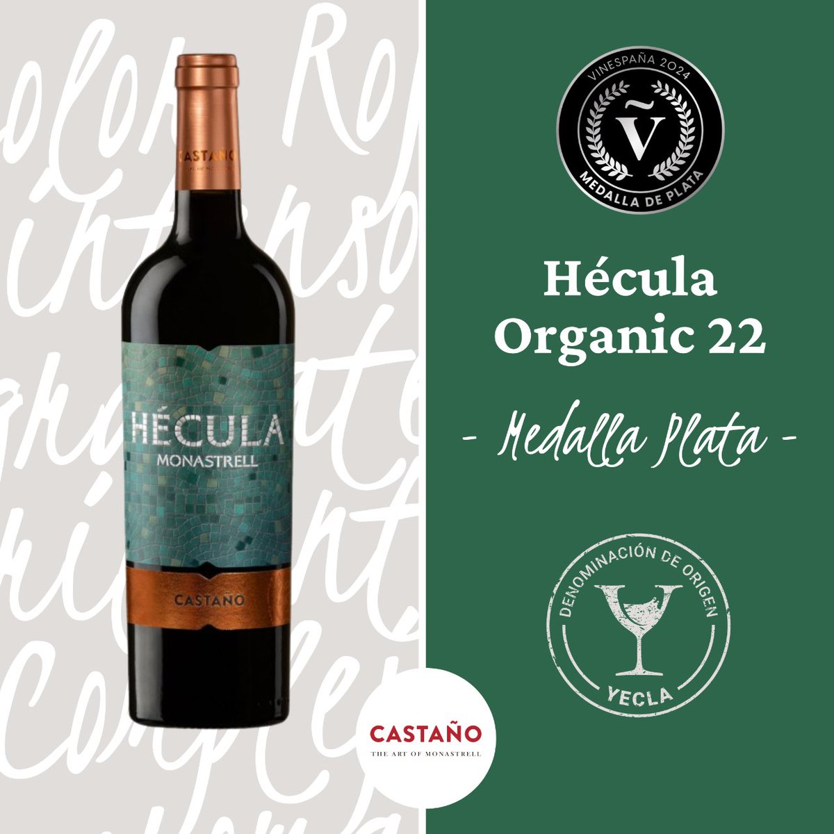 🍷¡Buenas noticias desde el Concurso Nacional de Vinos VinEspaña! Tres vinos #DOPYecla de @BodegasCastano han brillado con medallas de plata: 🥈CASTAÑO DULCE MONASTRELL,22 🥈 COLECCIÓN BLANCO CHARDONNAY BARRICA,22: La novedad  🥈HÉCULA ORGANIC,22 ¡Enhorabuena!