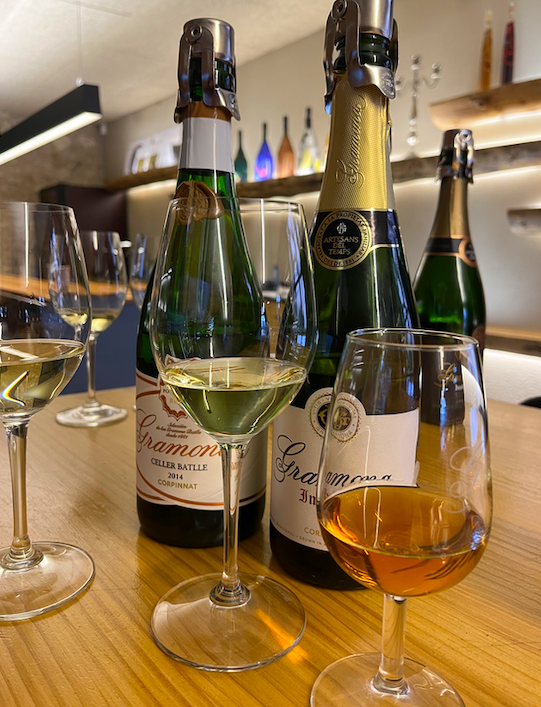 Gramona sparkling wine house is now offering a unique insight in their secrets: guests can taste the 100% Xarello base wine of the expedition liquor aged in solera. This is what makes Gramona Brut sparkling wines so outstanding! (Among others...)