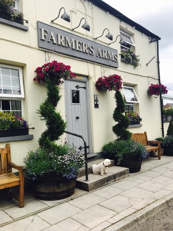 CHRIS TYWYDD JONES (@ctywydd) on Twitter photo Superb walk today in Carmarthenshire from Llansteffan, with it's beach & <a href="/LlansteffanCas1/">Llansteffan Castle</a> to Llanybri & a very pleasant stop at Farmers Arms. There's a whole world out there people! Discover new parts of Wales! <a href="/Discovercarms/">Carmarthenshire</a> <a href="/WalesCoastPath/">Llwybr Arfordir Cymru / Wales Coast Path</a> #freshair #walking Superb walk today in Carmarthenshire from Llansteffan, with it's beach & <a href="/LlansteffanCas1/">Llansteffan Castle</a> to Llanybri & a very pleasant stop at Farmers Arms. There's a whole world out there people! Discover new parts of Wales! <a href="/Discovercarms/">Carmarthenshire</a> <a href="/WalesCoastPath/">Llwybr Arfordir Cymru / Wales Coast Path</a> #freshair #walking
