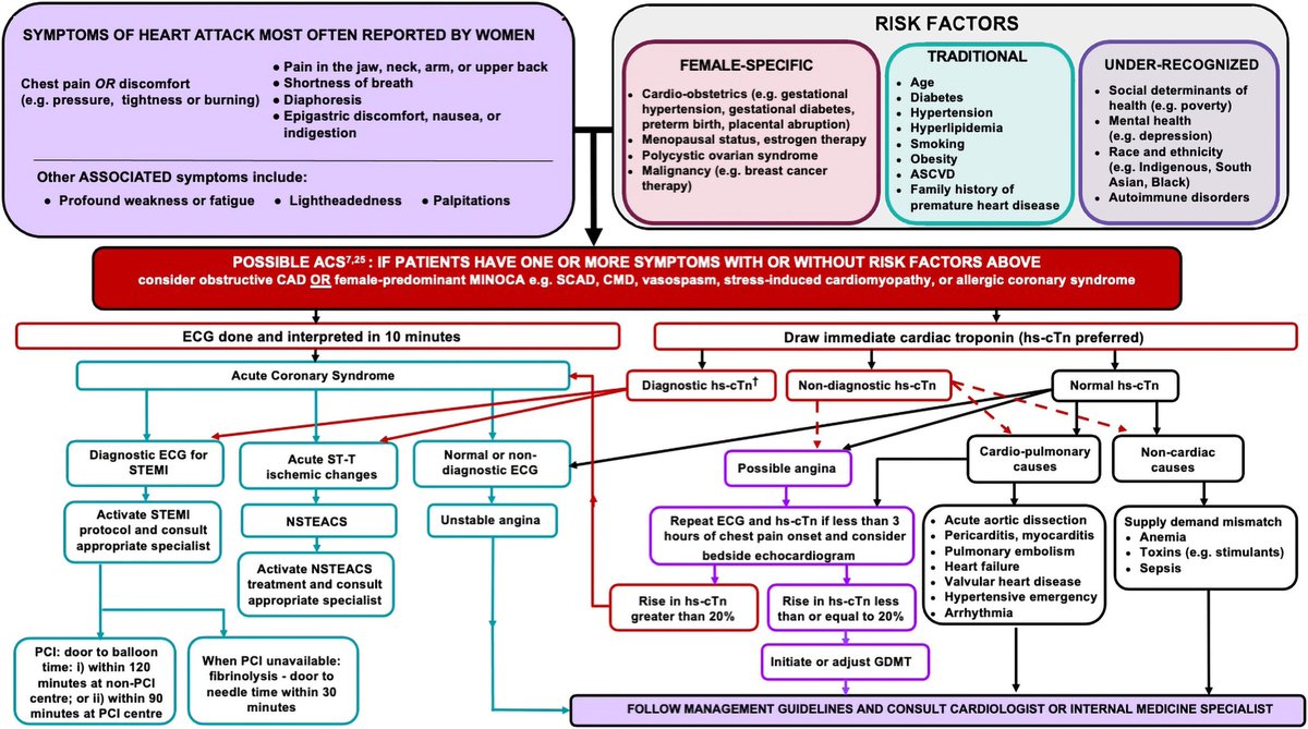 ZHeart11768530's tweet image. 🔴  A Chest-Pain Protocol for Women Presenting to the Emergency Department
 #openaccess #2023Review 

cjcopen.ca/article/S2589-…
#Cardiology #medEd #medical #medtwitter #CardioEd #CardioTwitter #cardiology #meded #medtwitter #CardioEd #CVD