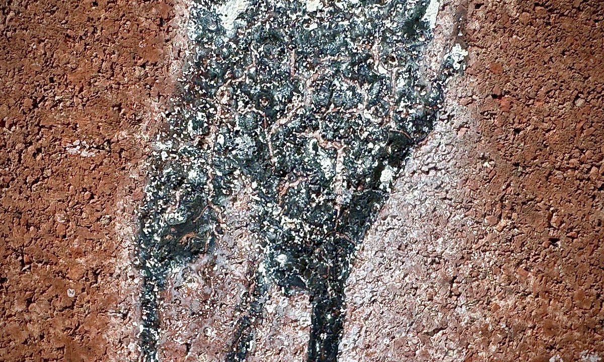 lucote's tweet photo. Abstraction sur murs de briques.
#angus #provigo https://t.co/pi6atyZNw7