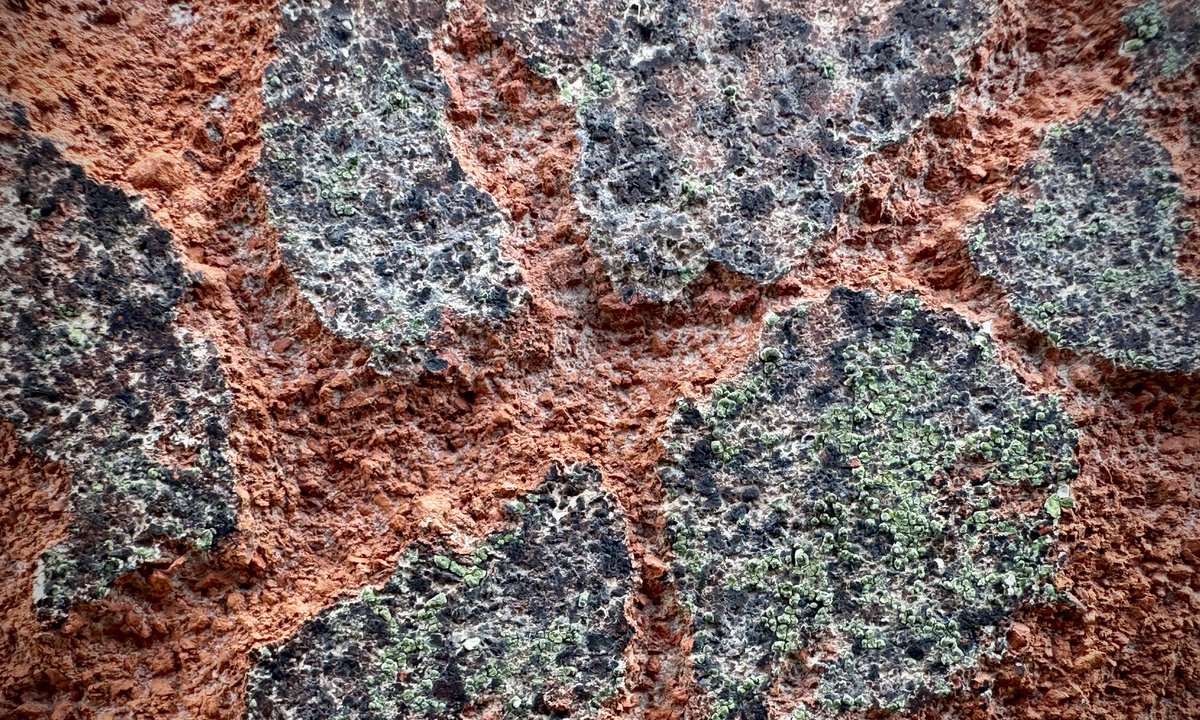 lucote's tweet photo. Abstraction sur murs de briques.
#angus #provigo https://t.co/pi6atyZNw7