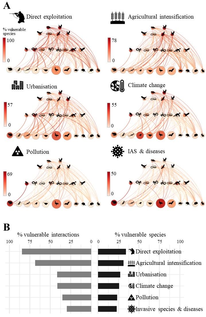 || OUT NOW || Vulnerability of terrestrial vertebrate food webs to anthropogenic threats in Europe 📄 onlinelibrary.wiley.com/doi/full/10.11… @lmjoconnor @Lajosy0 @LuiMajo74 @EcologieAlpine @HarfootMike