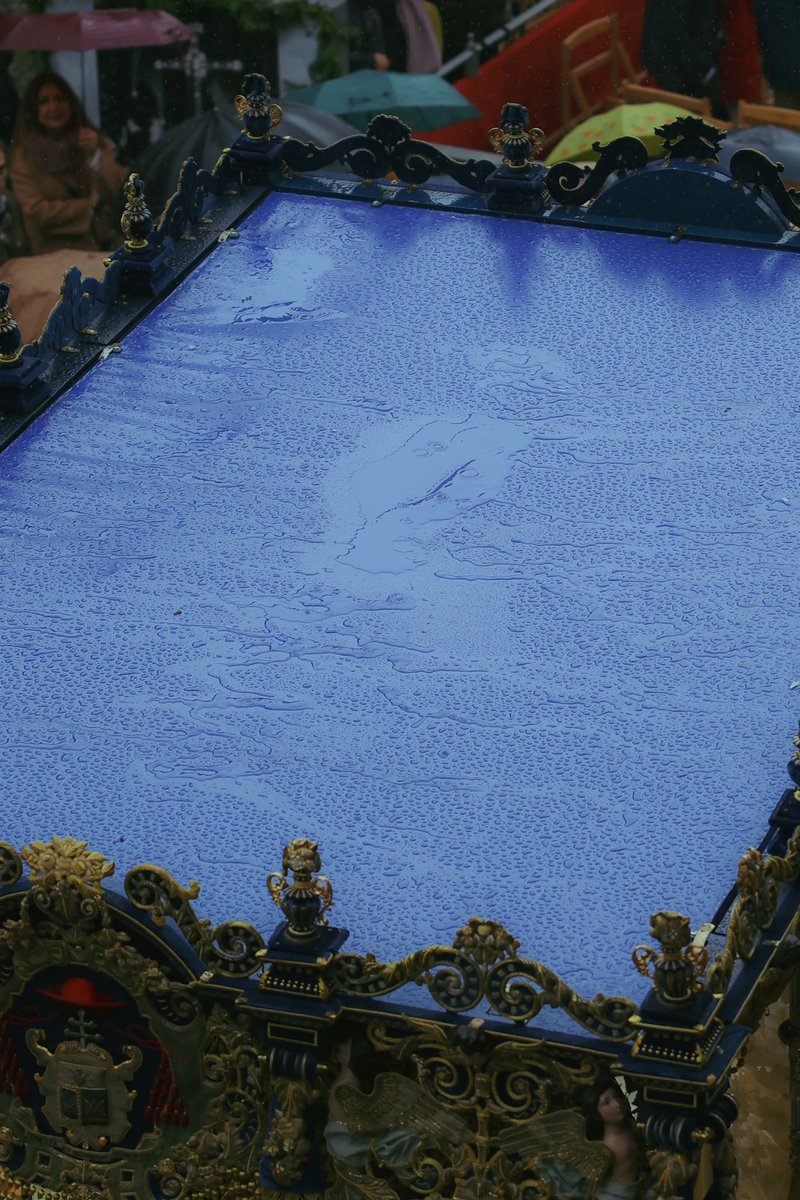 Imágenes que duelen.

#SSantaSevilla24