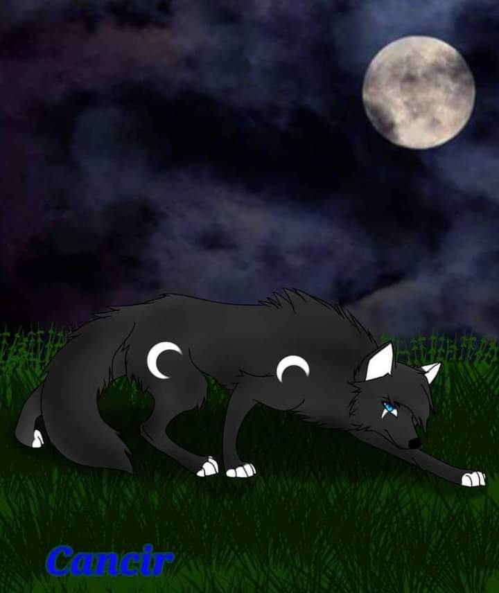 shadowsilver12's tweet photo. Todos dicen..."ya pasara"
Todos dicen..."debes seguir adelante"
Todos dicen..."lo superaras algún dia"

Si, cualquiera de todas esas frases sirve, o funciona de manera distinta...

Pero que pasa cuando el consuelo no existe...?
#oc #dylandalmatian #dantedalmatian #sonsofnight https://t.co/s6fAyDVfSE