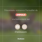 Photo by Animaux TV (@AnimauxTV)