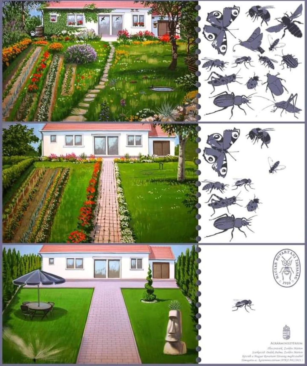 ¿Quieres contribuir a la recuperación de insectos y polinizadores? Aquí te dejo en ejemplo qué es lo mejor.