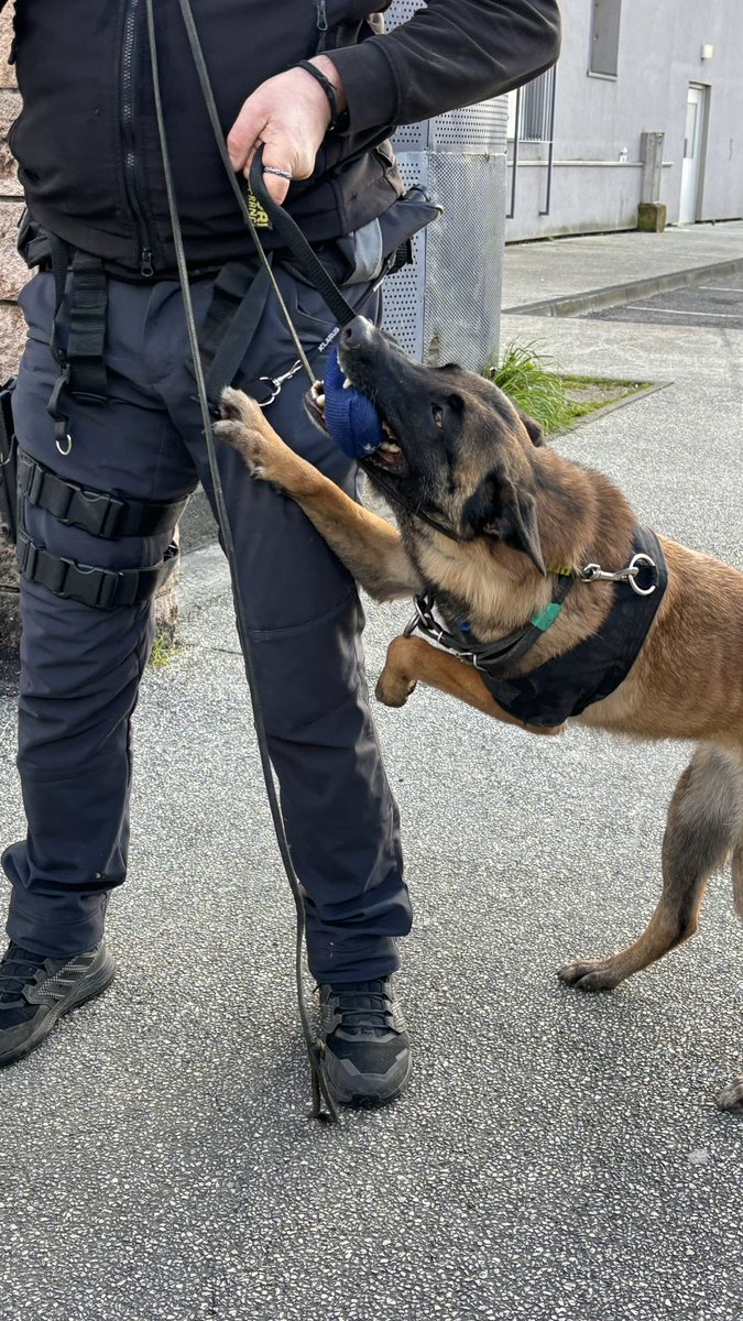 Prefet26's tweet image. #StopTraffic #Far | 🛑 Multiplication des opérations de sécurisation dans les quartiers du #plan et de #Fontbarlettes à  #Valence 

🎯enrayer les trafics
🎯assurer la sécurité des habitants 

➡️ Le dispositif Force d’Action Républicaine permet les renforts nationaux auprès de