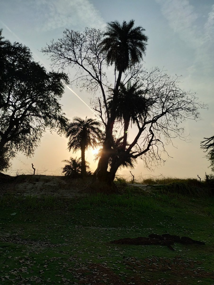nia_addicted's tweet photo. Beat my evening click if you can 😎📷 https://t.co/VzYEdPfOsP