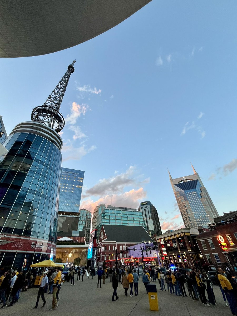Gorgeous night for an epic comeback by the <a href="/PredsNHL/">Nashville Predators</a>  🏒 <a href="/BrdgstoneArena/">Bridgestone Arena</a> #Nashville
