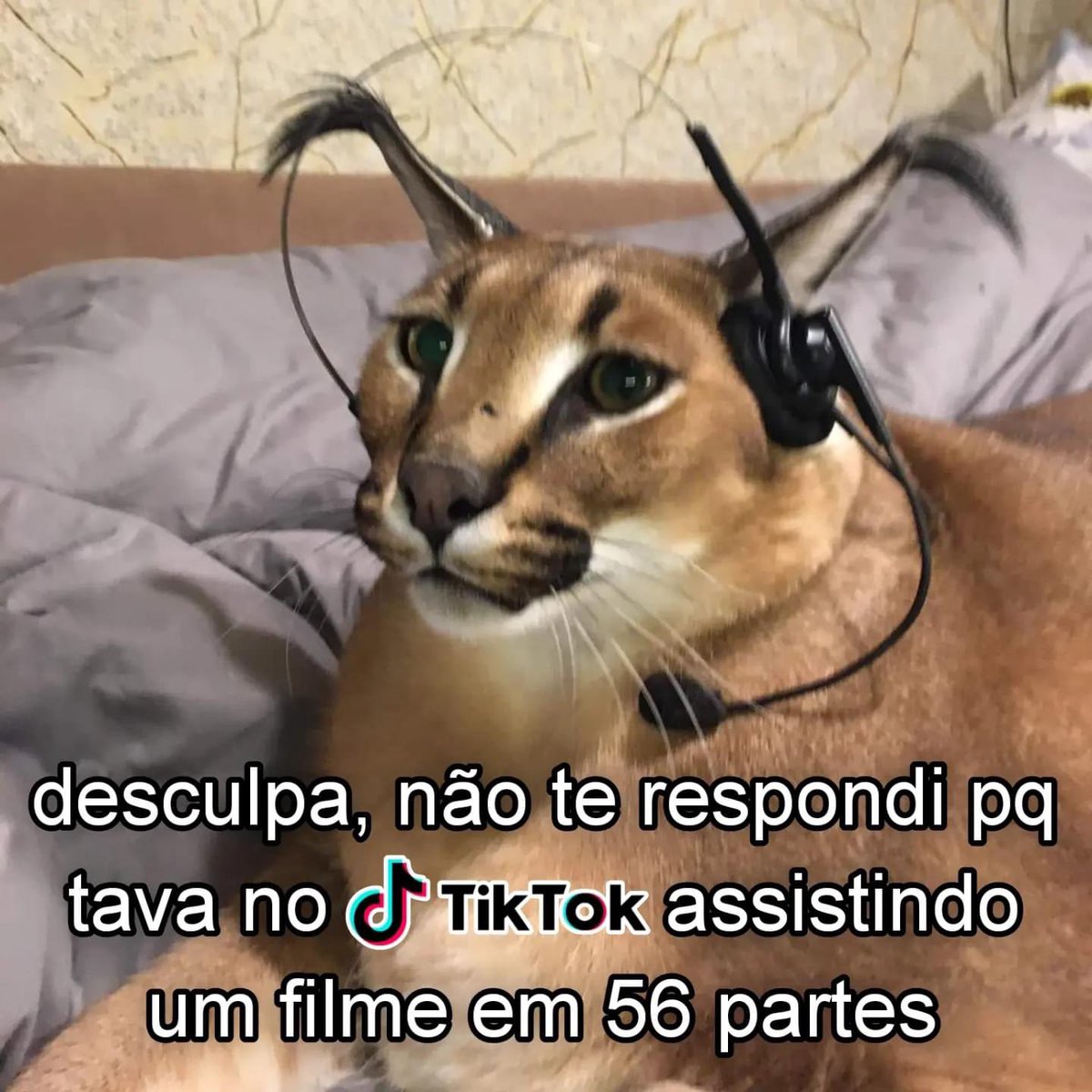 OTigraO (@otigraun) on Twitter photo 