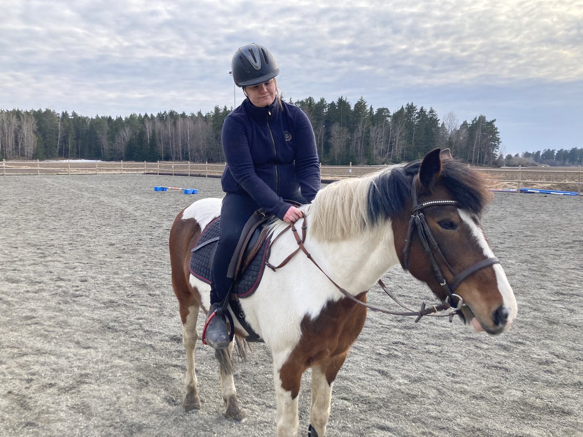 idaengstrom88's tweet photo. Fick idag rida en ponny som kallas Lisen
och är ett New forest sto på 18 år. En dam mes bestämda åsikter om vad hon vill göra. Däremot så var jag den som var mest envis och drog det längsta strået idag. 🙌🐎
#horses #newforest #newforestpony #ridning https://t.co/lhf9VwTsUu
