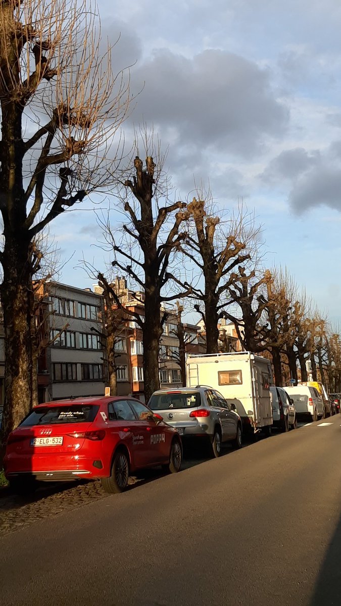 casimir32's tweet photo. @poppymobil plus de 20 jours que vos voitures monopolisent la voie publique @FabriceCumps @AlainKestemont @GaetanVanGoids @zp_midi @SMullerHubsch @parkingbrussels https://t.co/OG79pubEZ9
