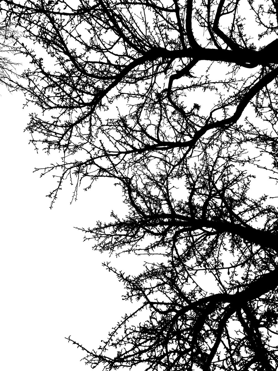 Exe20Exe's tweet photo. what do you see? https://t.co/H1utv5FJVH