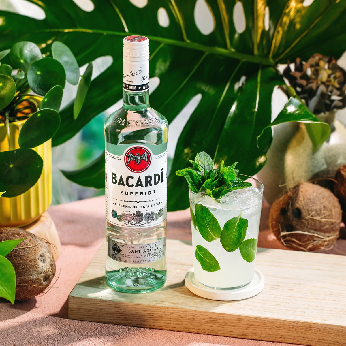 The leaves are getting so green. Just like the mint leaves in a refreshing #BACARDI Mojito. -2 parts #BACARDI Rum -1 part lime juice -12 fresh mint leaves -2 tsp extra fine sugar -1 part club soda -1 mint sprig #DoWhatMovesYou