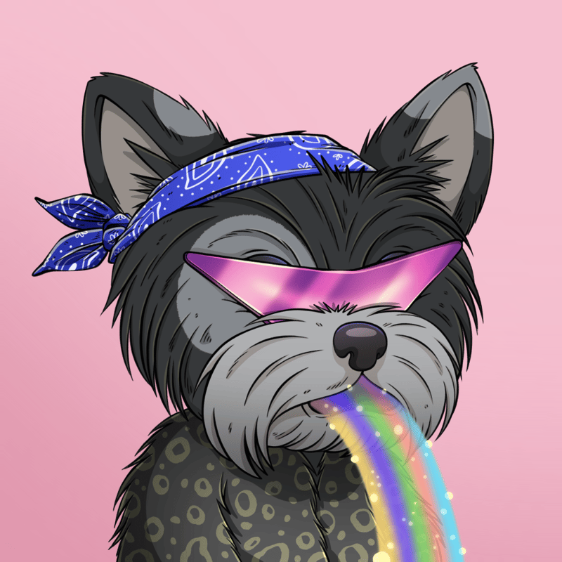 KIMBROS 🐶 tweet media