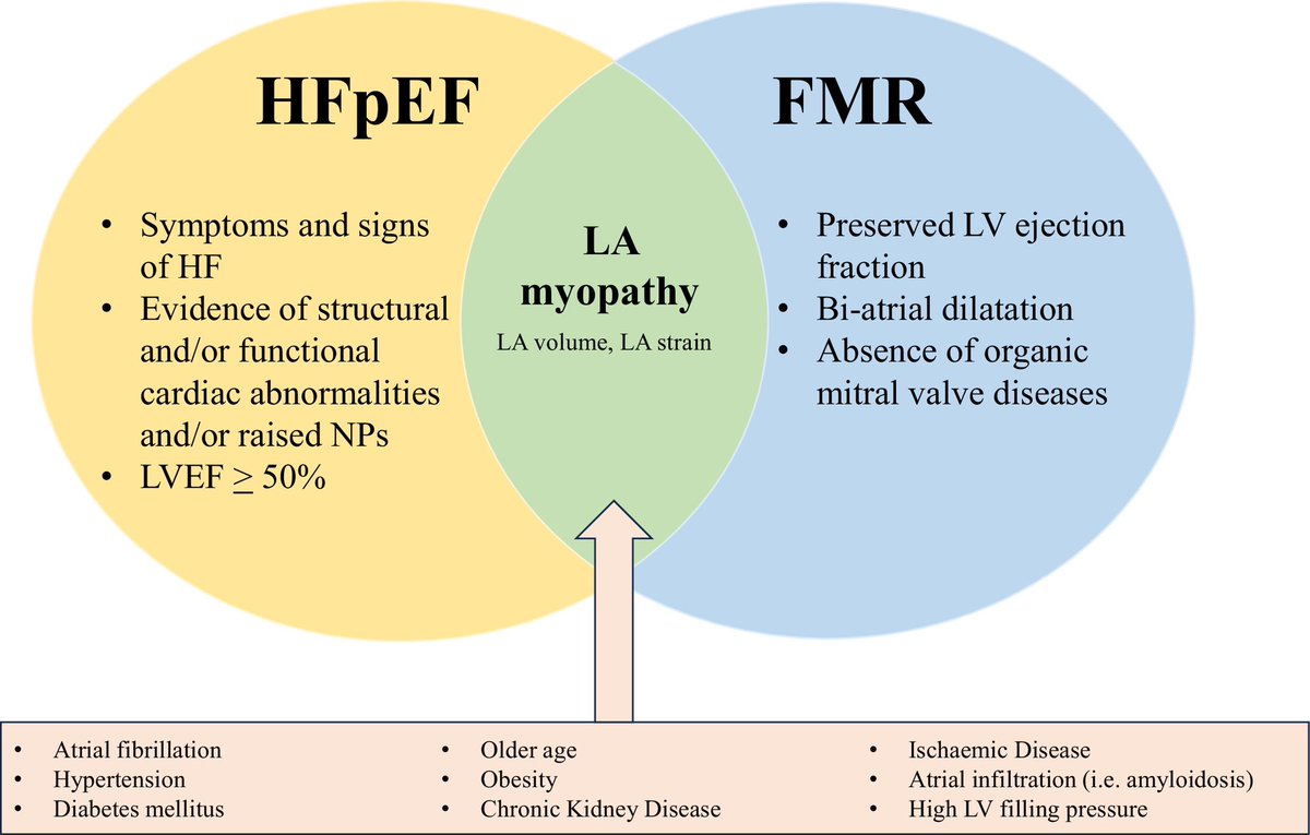 Functional mitral regurgitation and #HFpEF: clinical implications and management. Very interesting review in @JCardFail ☑️ Open access 📎 onlinejcf.com/article/S1071-… @secardiologia @SVCardio #CardioTwitter
