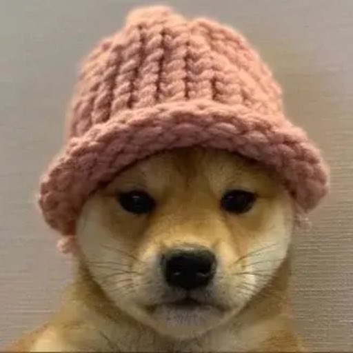 ishaburov's tweet photo. @Bybit_Official #BABYWIFHAT 
#WIF 
bid please https://t.co/JiphKVe7tW