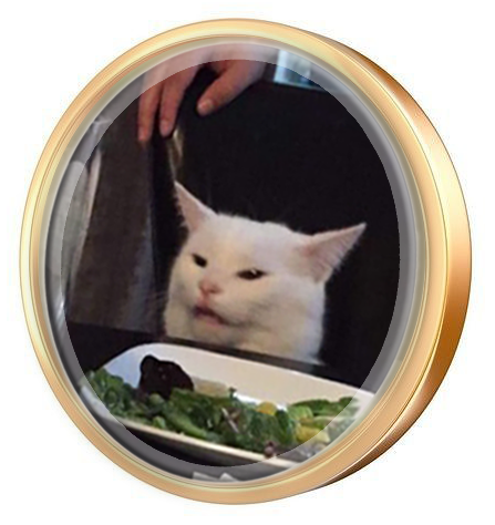 yellatcat's tweet photo. @Ashcryptoreal Follow YELL AT CAT: https://t.co/WNMa0oIUze $YAC is the next big mover, launching this week! https://t.co/eLtNAyreqw