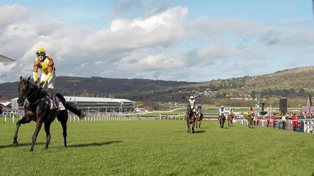 JamesStevens180's tweet photo. Gone through all of the 2024 Cheltenham Festival races.

Here’s my thoughts on the Grade 1 races and my thinking for the rest of this season and beyond!

A short race-by-race thread🧵🏇 https://t.co/ZNEAuvfkLi