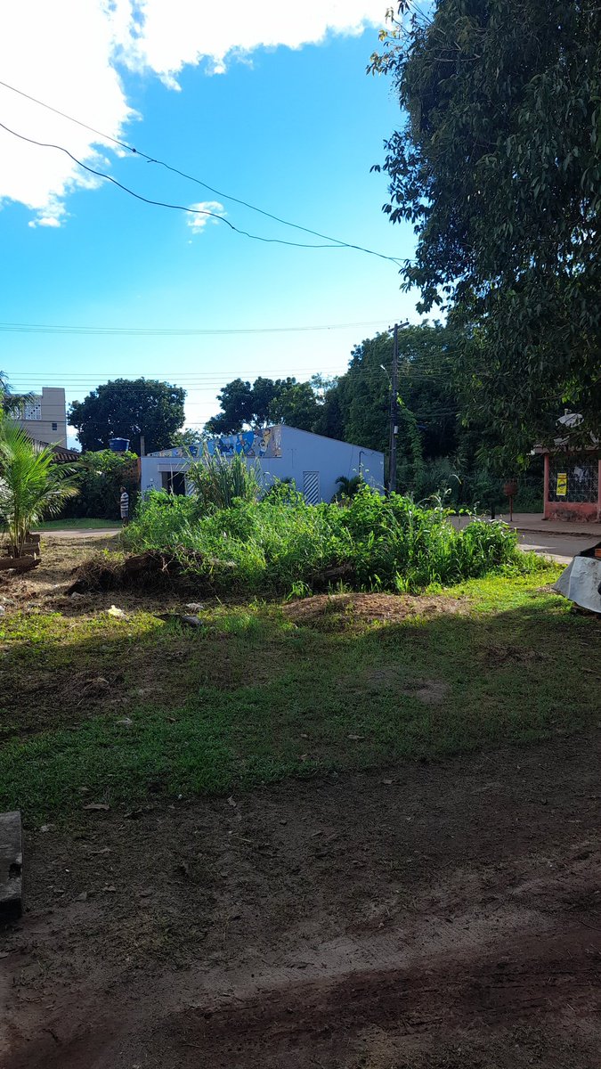 Alô <a href="/PMMacapa/">Prefeitura de Macapá</a> bora dar uma força e fazer a limpeza dessa rua? Que tal? Fica na Fazendinha, próximo ao Residencial Janary Nunes.