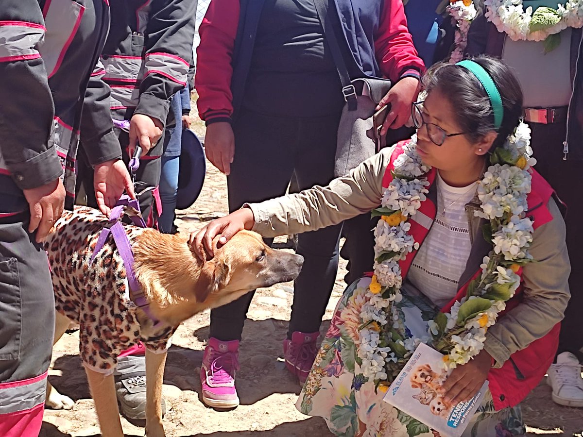 SMSALUDGAMEA's tweet photo. La alcaldesa @EvaCopaBo realizó la apertura del Centro Municipal de Zoonosis CEMZOO, en el que se entregó una Unidad Móvil de zoonosis y caniles móviles, además de la inauguración de ambientes para Consultorio, quirófano y vacunatorio.
#LaSaludDelFuturo
#GestiónRenueva https://t.co/G6Xiezsshn