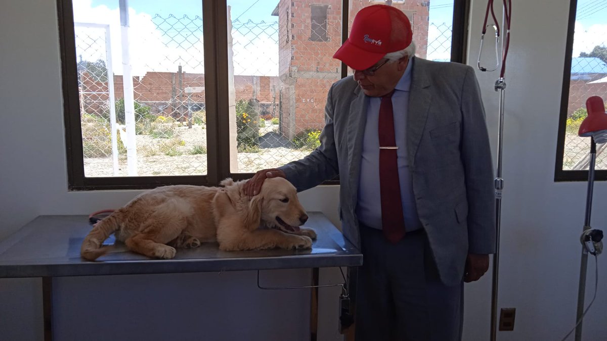 SMSALUDGAMEA's tweet photo. La alcaldesa @EvaCopaBo realizó la apertura del Centro Municipal de Zoonosis CEMZOO, en el que se entregó una Unidad Móvil de zoonosis y caniles móviles, además de la inauguración de ambientes para Consultorio, quirófano y vacunatorio.
#LaSaludDelFuturo
#GestiónRenueva https://t.co/G6Xiezsshn