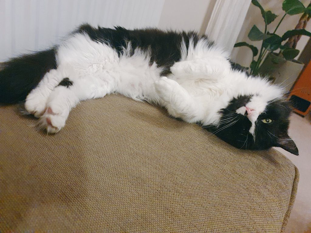 Such a fabulous day, always so privileged to visit new schools and be a part of their incredible team for the day - thank you for these gorgeous flowers! Now time to relax and recharge (and eat lots of choccies!) Happy Easter 🐰