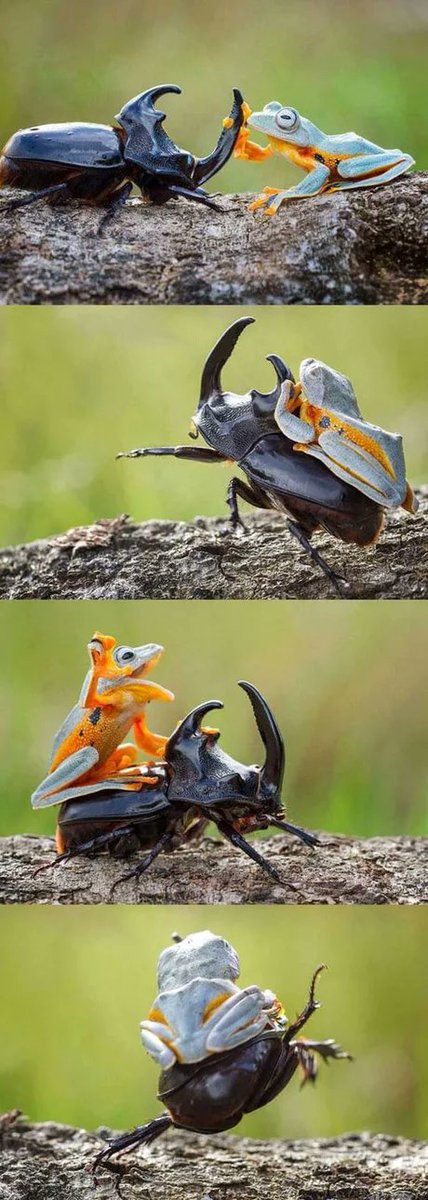 luulao's tweet image. #フォロバ100