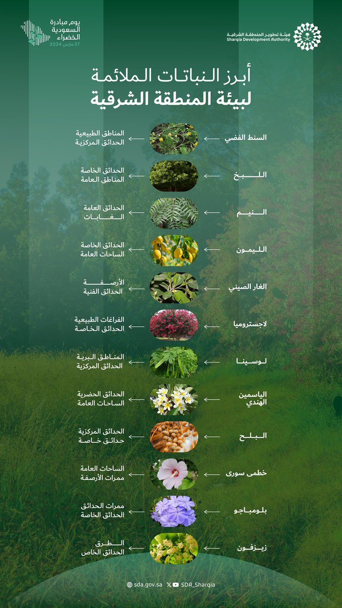 SDA_Sharqia's tweet photo. أبرز النباتات الملائمة لبيئة المنطقة الشرقية

#لمستقبل_أكثر_استدامة 
#مبادرة_السعودية_الخضراء 
#هيئة_تطوير_الشرقية https://t.co/9noxafkFbX
