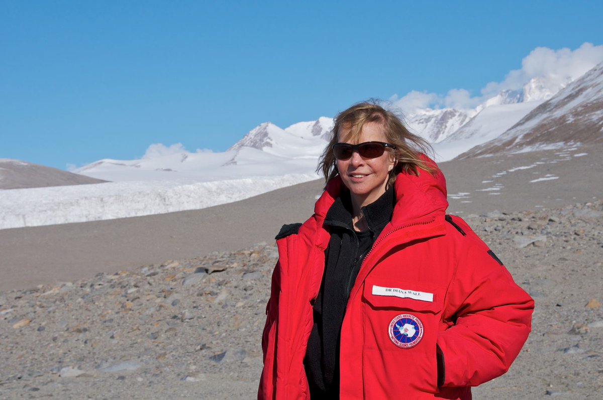 We mourn  the loss of ESA Past President Diana Wall whose impact on the science of ecology and on ecologists leaves an enduring legacy. She will be greatly missed and we are grateful for her leadership service to ESA @SOGES_CSU @theGSBI @AIBSbiology @SON_nemaweb