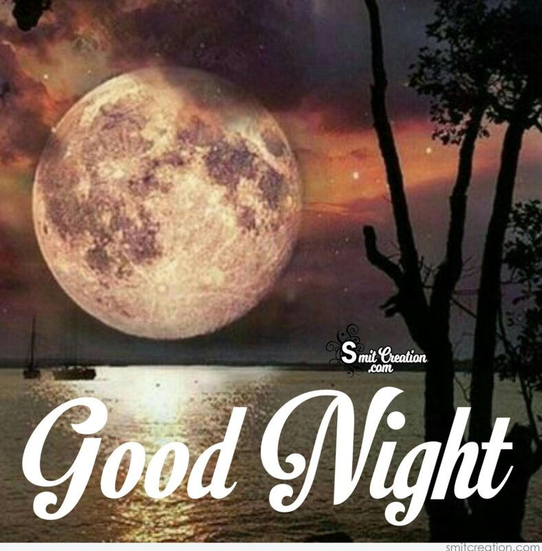 SarfrazTanoli80's tweet photo. 🌜✨ Wishing everyone a peaceful night. May your dreams be filled with starry skies and tranquil seas. Rest well and recharge for a bright tomorrow. Goodnight, world! #SweetDreams #GoodnightTweet 🌟🛌 https://t.co/iMCW9V93Eu