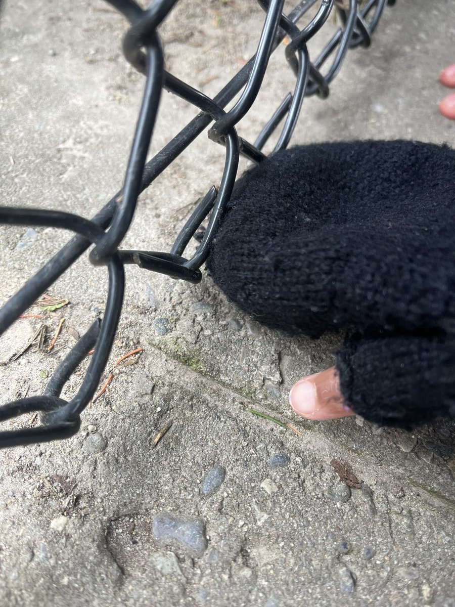 Ms.Persaud’s Falcons tweet media