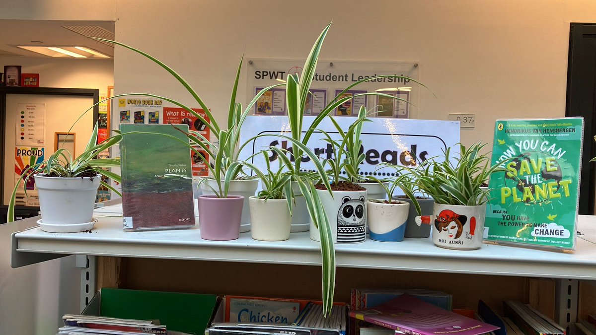 Our spider plants are thriving! These are new baby plants from just this week alone - wishing we had a few copies of Day of the Triffids to display amongst them…