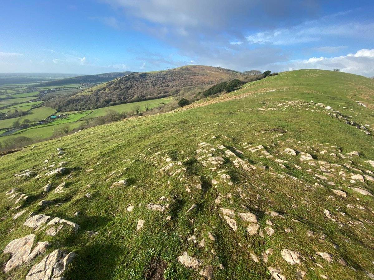 Would you like to soak up views like this every day? We’re looking for a passionate and motivated ranger to help us look after a diverse array of sites including Cheddar Gorge, Brean Down, Glastonbury Tor and Crook Peak. Find out more and apply here 👇 bit.ly/NTSomersetRang…