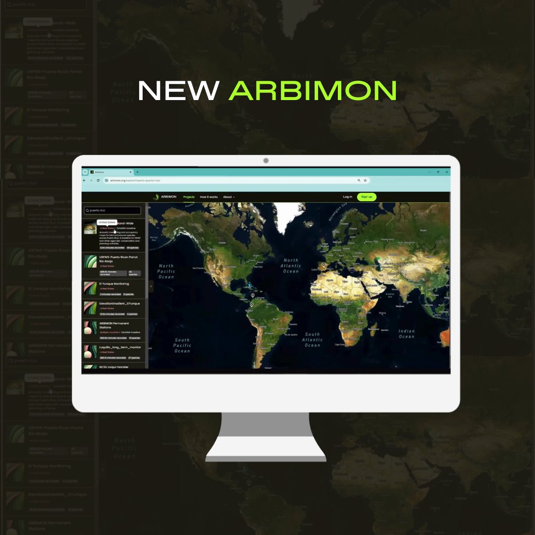 RainforestCx's tweet photo. @ARBlMON has announced a new upgrade! Go explore the free and open ecoacoustic analysis platform, now revamped to better serve the scientific and conservation communities. 🦾🌏

🌐 https://t.co/jVzGzR4oWg 

#arbimon #bioacoustics #wildliferesearch #wildlifeconservation #ai #acousticanalysis #newwebsite #launch #newlook #conservation #biodiversity #biodiversitymonitoring #bioacoustics