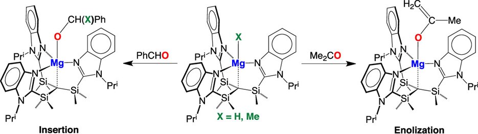 Organometallics (@orgmet_acs) on Twitter photo Parkin, Vaccaro, and Yan report that terminal magnesium hydride and methyl complexes can react with carbonyl compounds to afford alkoxide and enolate derivatives. Check out the details in <a href="/Orgmet_ACS/">Organometallics</a> pubs.acs.org/doi/10.1021/ac… Parkin, Vaccaro, and Yan report that terminal magnesium hydride and methyl complexes can react with carbonyl compounds to afford alkoxide and enolate derivatives. Check out the details in <a href="/Orgmet_ACS/">Organometallics</a> pubs.acs.org/doi/10.1021/ac…