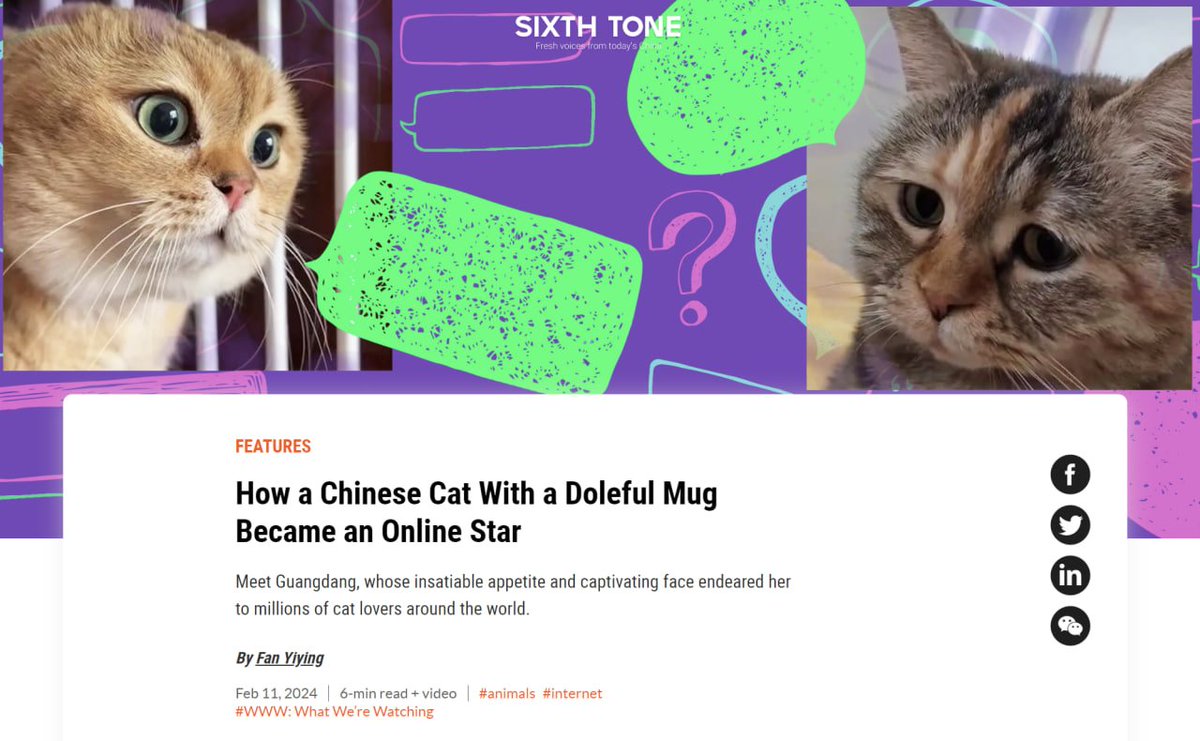 $BASE is Cat meta? Lead by $TOSHI and $MOCHI

Behold... Guangdang $DANG the chinese cat taking over asia! 

Learn more about Guangdang here:
sixthtone.com/news/1014620

Chart:
dexscreener.com/base/0x22958cc…