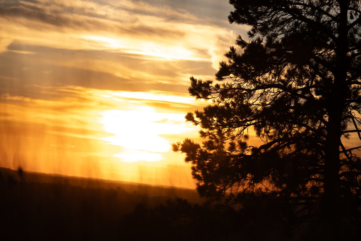 The whole world is Vandal fan once a day when the blue and pink turns silver and gold. #GoVandals