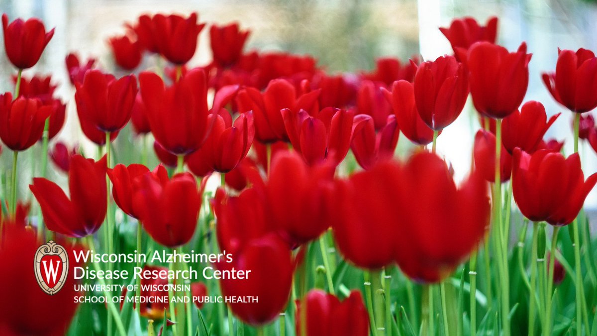 We have so much to share! Don't miss the latest edition of 🌷Headlines: News from the Wisconsin ADRC🌷at mailchi.mp/medicine.wisc.… #Alzheimers #OnWisconsin