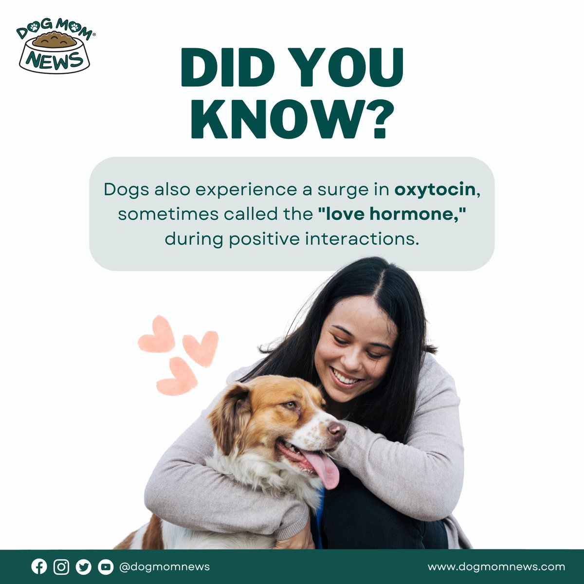 DogMomNews's tweet photo. Fetch isn't just exercise, it's a love fest! 🐶 Engaging in positive activities with your dog boosts oxytocin levels, strengthening the bond between you. So play fetch or give your pup a warm hug today! 💚 

#DogMomNews #DogsofInstagram #OxytocinBoost #DogMom https://t.co/2gSOqBTpZD