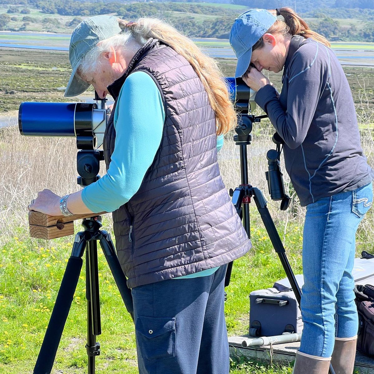 Changing Seas tweet media