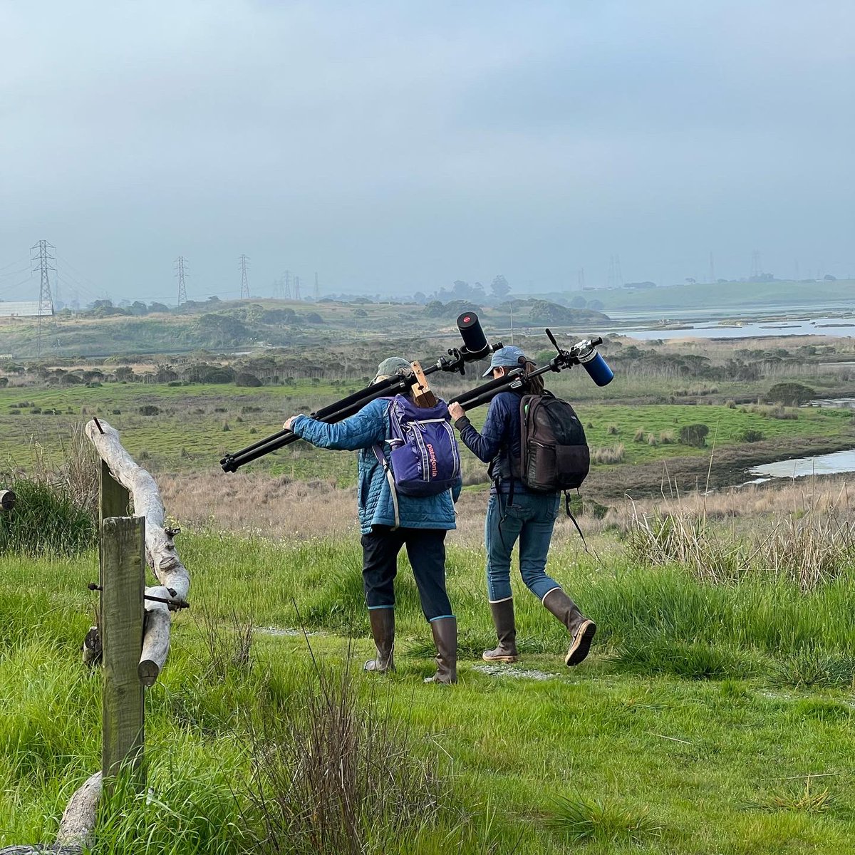 Last week, we spent a couple days with <a href="/USFWS/">U.S. Fish and Wildlife Service</a>'s Southern Sea Otter Recovery Coordinator Lilian Carswell. Lilian is also working on her Ph.D. on #seaotter social behavior and chronic stress. As part of that, she &amp; her team spend time in the field collecting data on tagged otters.