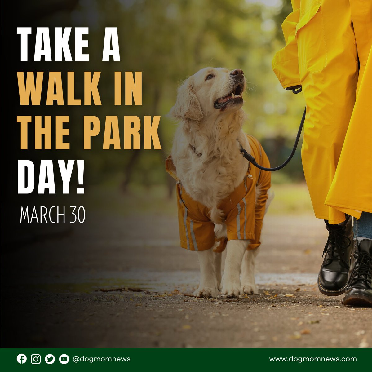 DogMomNews's tweet photo. Today is National Take a Walk in the Park Day! Pack your pup's favorite frisbee, a water dish, and get ready for some outdoor fun! 🦮

#dogmomnews #dogpark #doghealth #NationalTakeAWalkInTheParkDay #dogsoftwitter https://t.co/RFE3eMKsyW